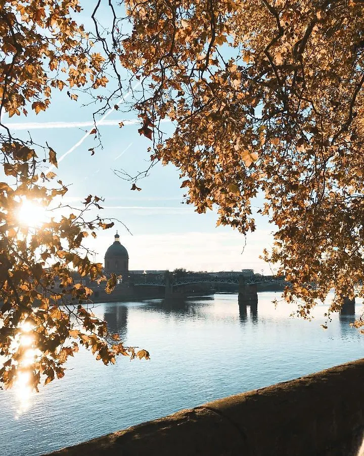 Toulouse Centre Superbe Appartement, Parking Francia